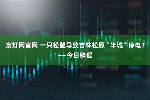 富灯网官网 一只松鼠导致吉林松原“半城”停电？——今日辟谣