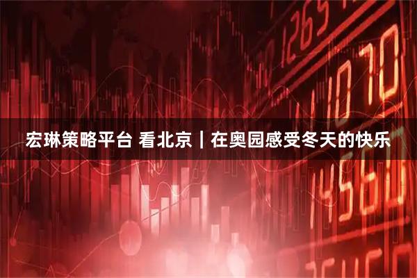 宏琳策略平台 看北京｜在奥园感受冬天的快乐