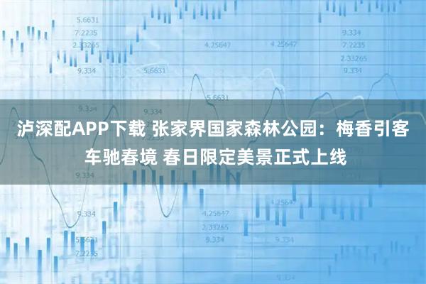 泸深配APP下载 张家界国家森林公园：梅香引客 车驰春境 春日限定美景正式上线